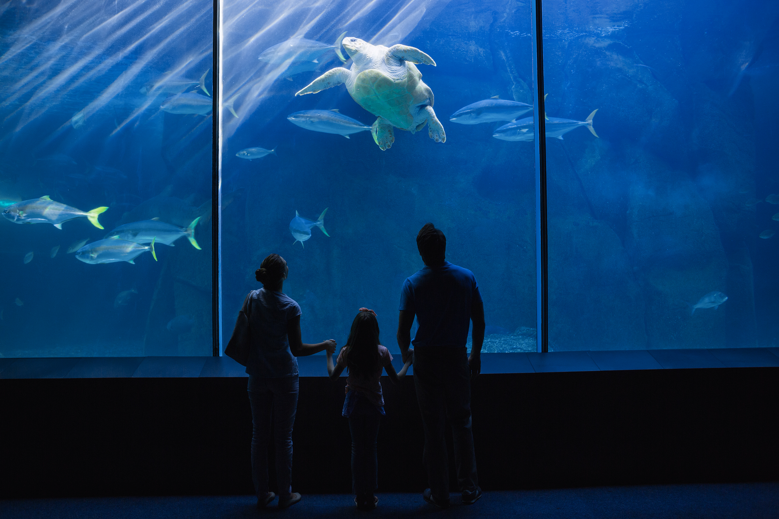 aquariums publics